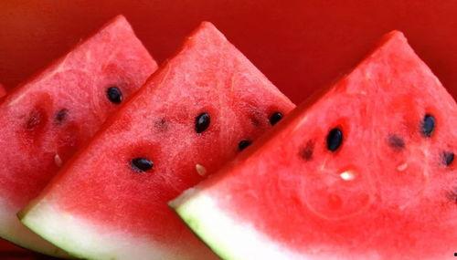 西瓜爆料网红炒作视频,网红炒作视频揭秘，真相令人咋舌